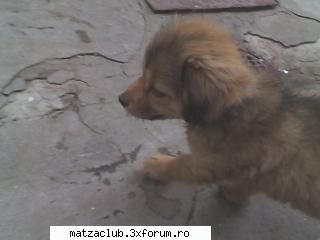 catzei - rrrrrrrrooooooooooooooooccccccccckkkkkkkkkyyyyyyyy - ::poze::