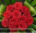 flori - albinutza - ::poze::