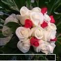 flori - albinutza - ::poze::