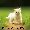 :wink2: pisik