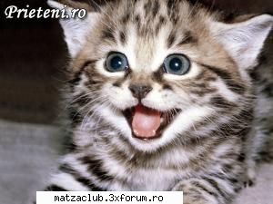 pisik - uite ce frumoasa e asta - ::poze::